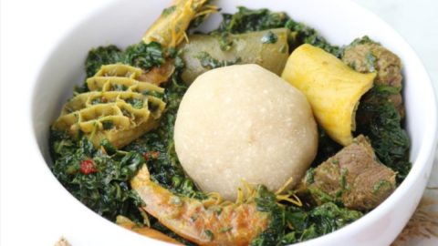 Media Express article