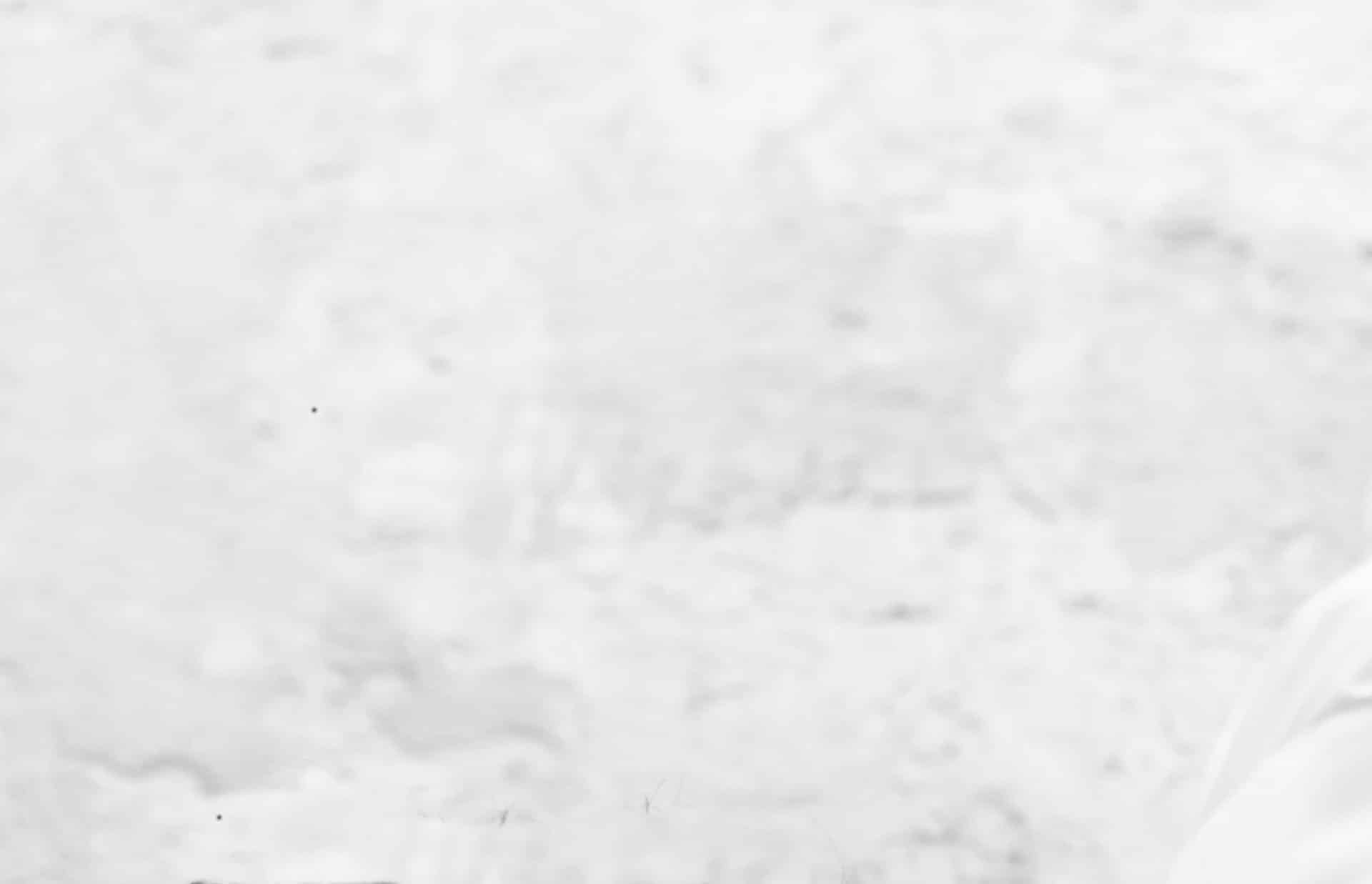 Media Express article